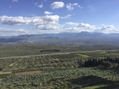 Tierras de cultivo de olivar, en Baeza (Jaén)