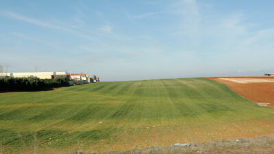 Campo de cereal, cerca de Talavera de la Reina. Autor: Joaquín Terán.