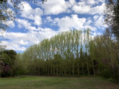 Cielos en Aranjuez (Madrid)