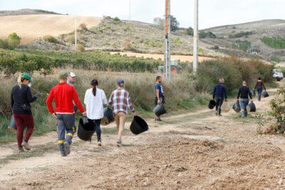 Agricultores se dirigen a realizar la vendimia, en Pedrosa de Duero (Burgos). Foto: Joaquín Terán.