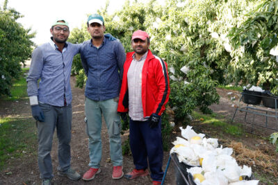 Foto destacada: Trabajadores de origen paquistaní hacen una pausa mientras recogen melocotones en la provincia de Teruel. Foto: Joaquín Terán.